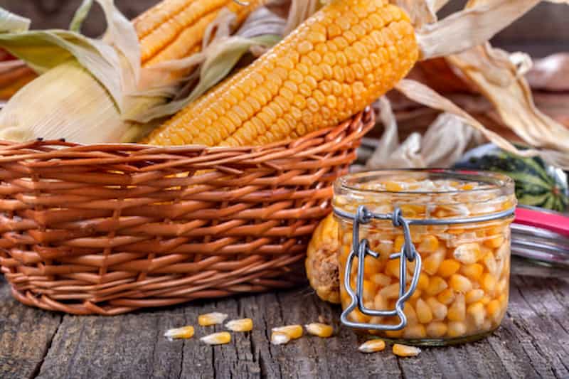 کنسرو ذرت کوچولو برای مصرف کم و بسته بندی جمع و جور
